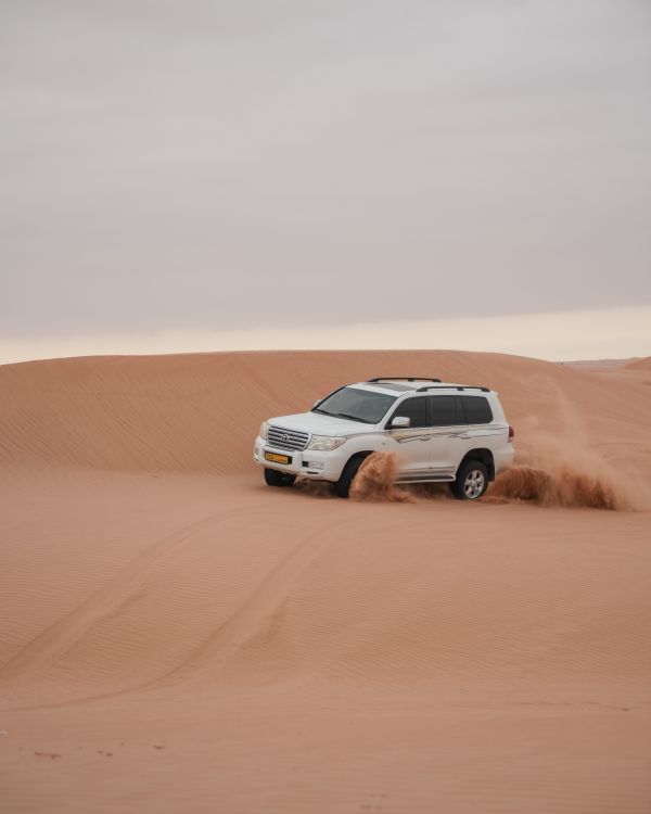 Desert Safari Tours