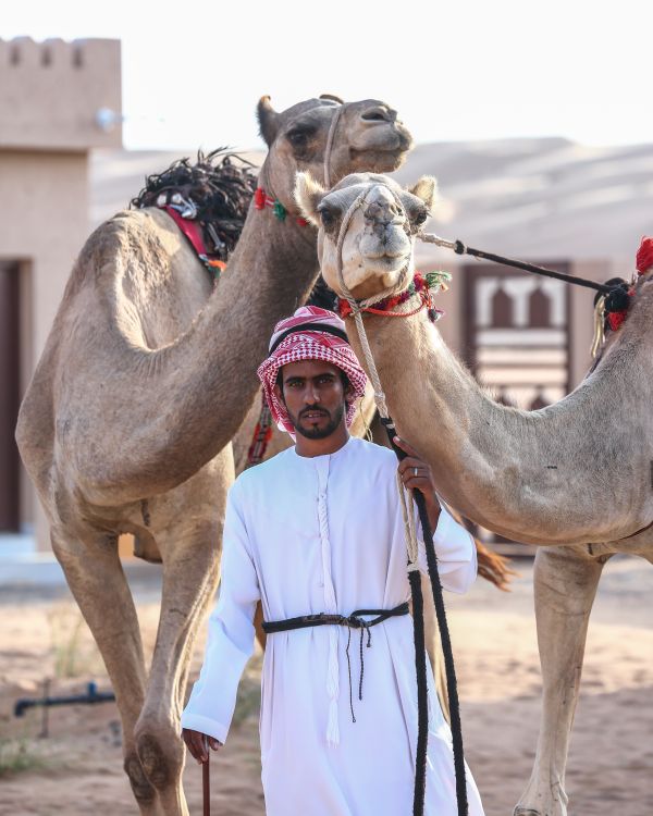 Camel Rides
